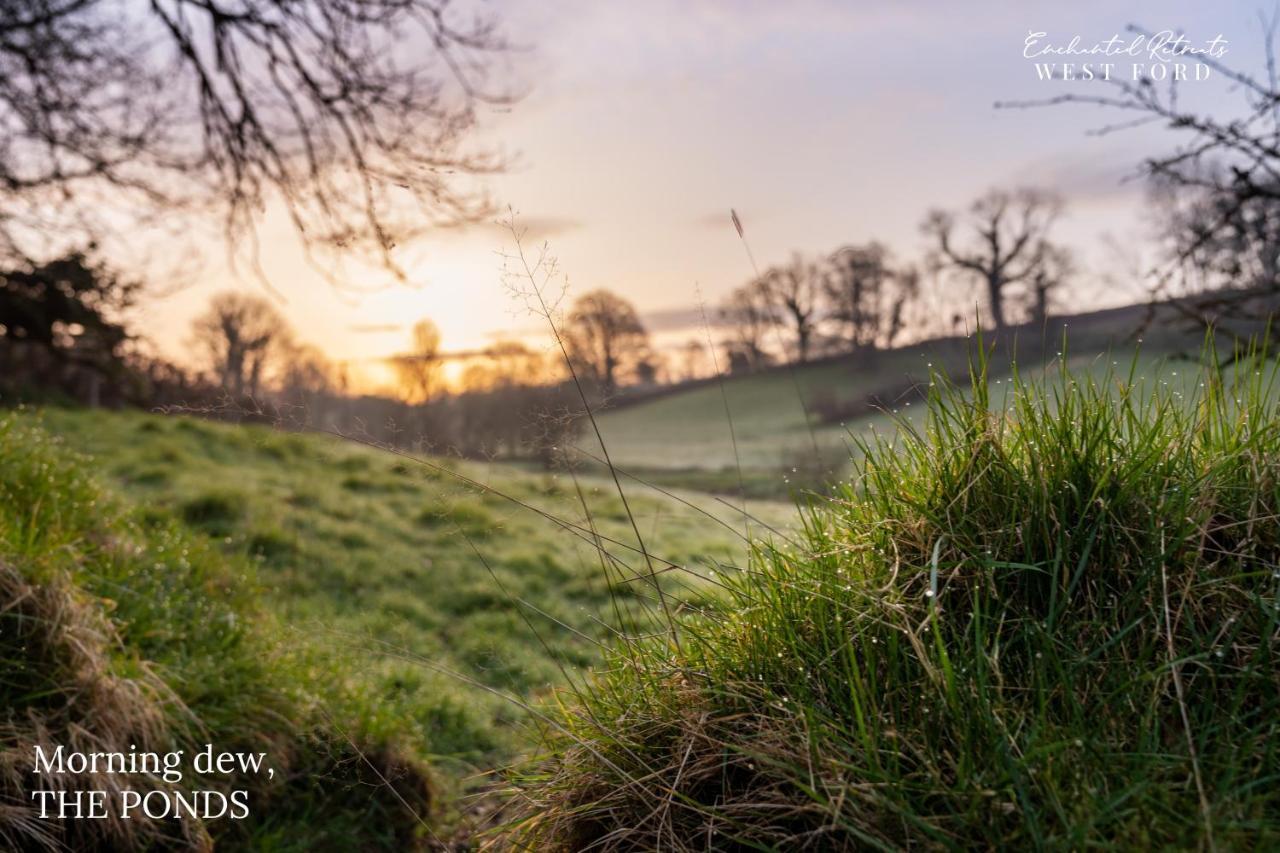 Enchanted Retreats At West Ford Devon South Molton Dış mekan fotoğraf